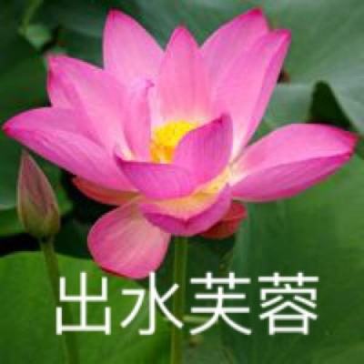 星飞银河游戏下载