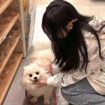 兰图游戏传奇sf下载